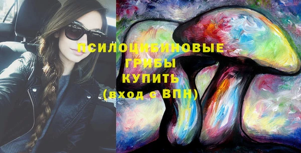 шишки Алексеевка