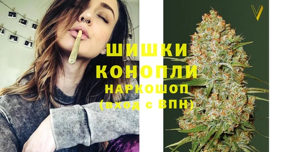 спайс Алексин