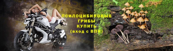 дурь Абдулино